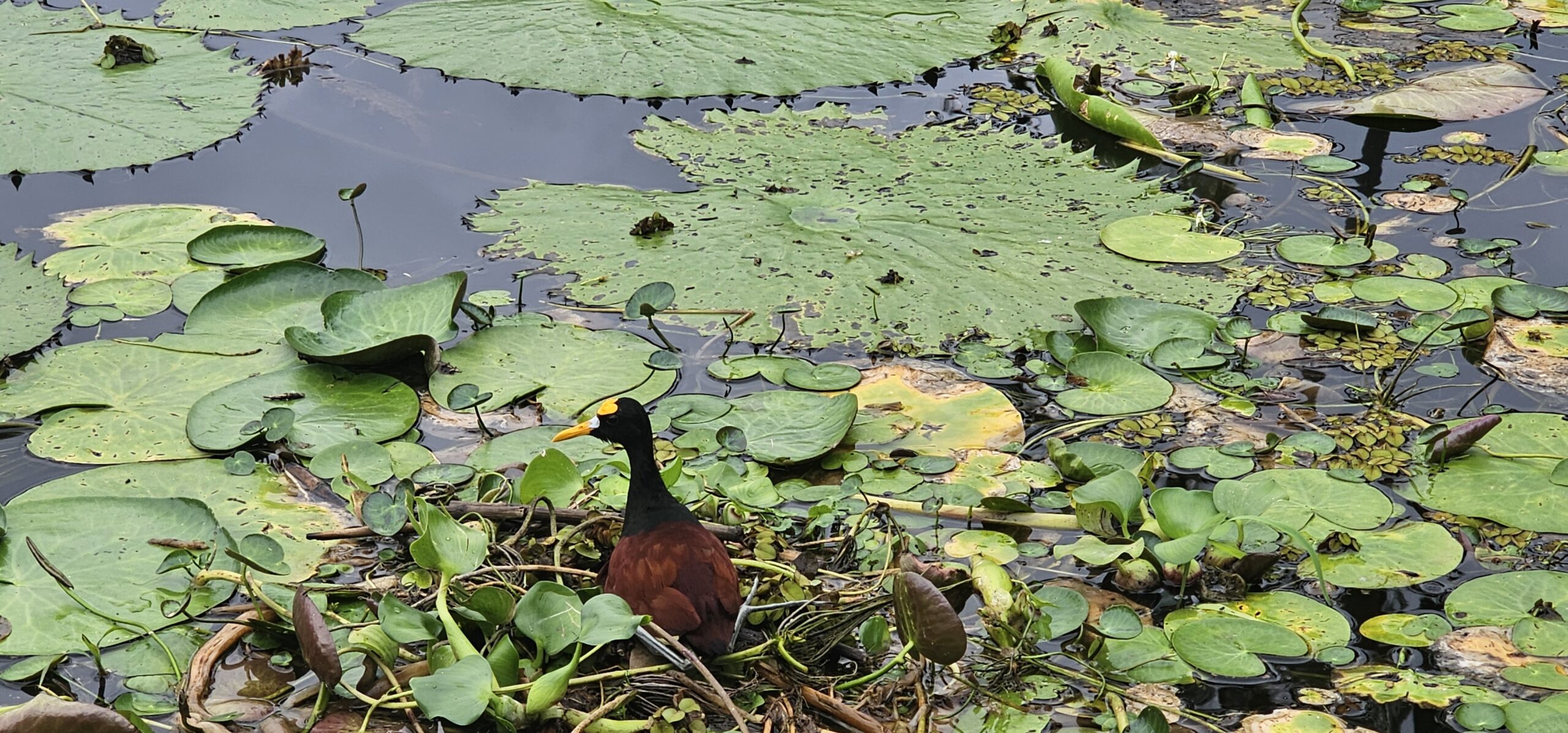 Sunset Kayak Tour in Granada
