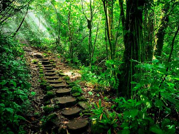 Nicaragua Camping Tour